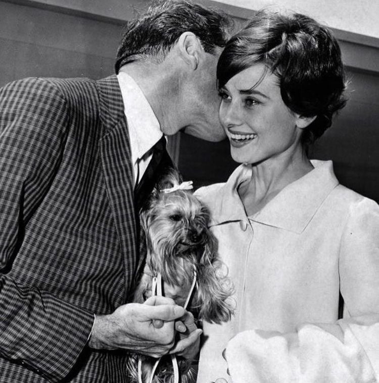 باسل المطيري