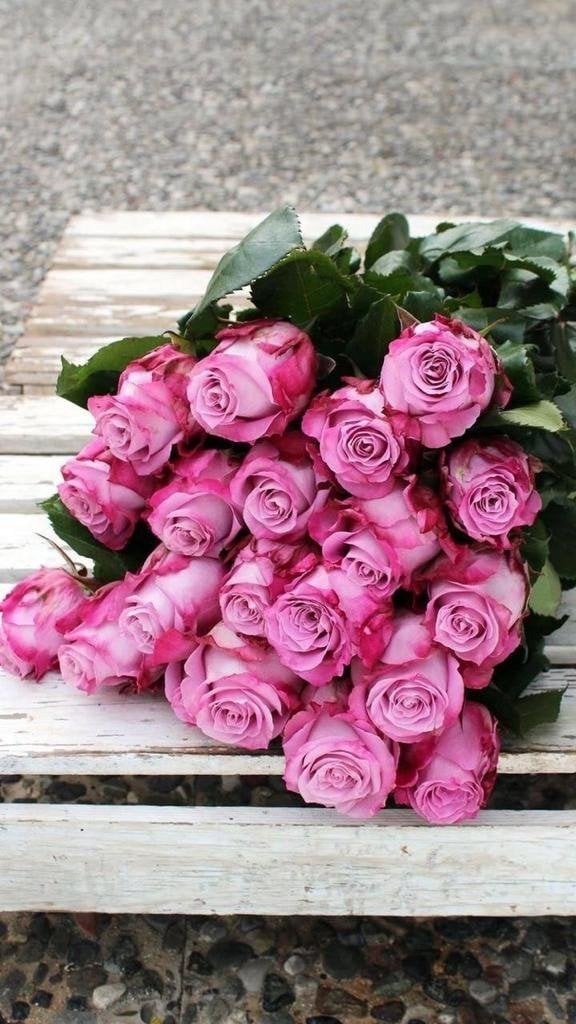 ندى الغامدي