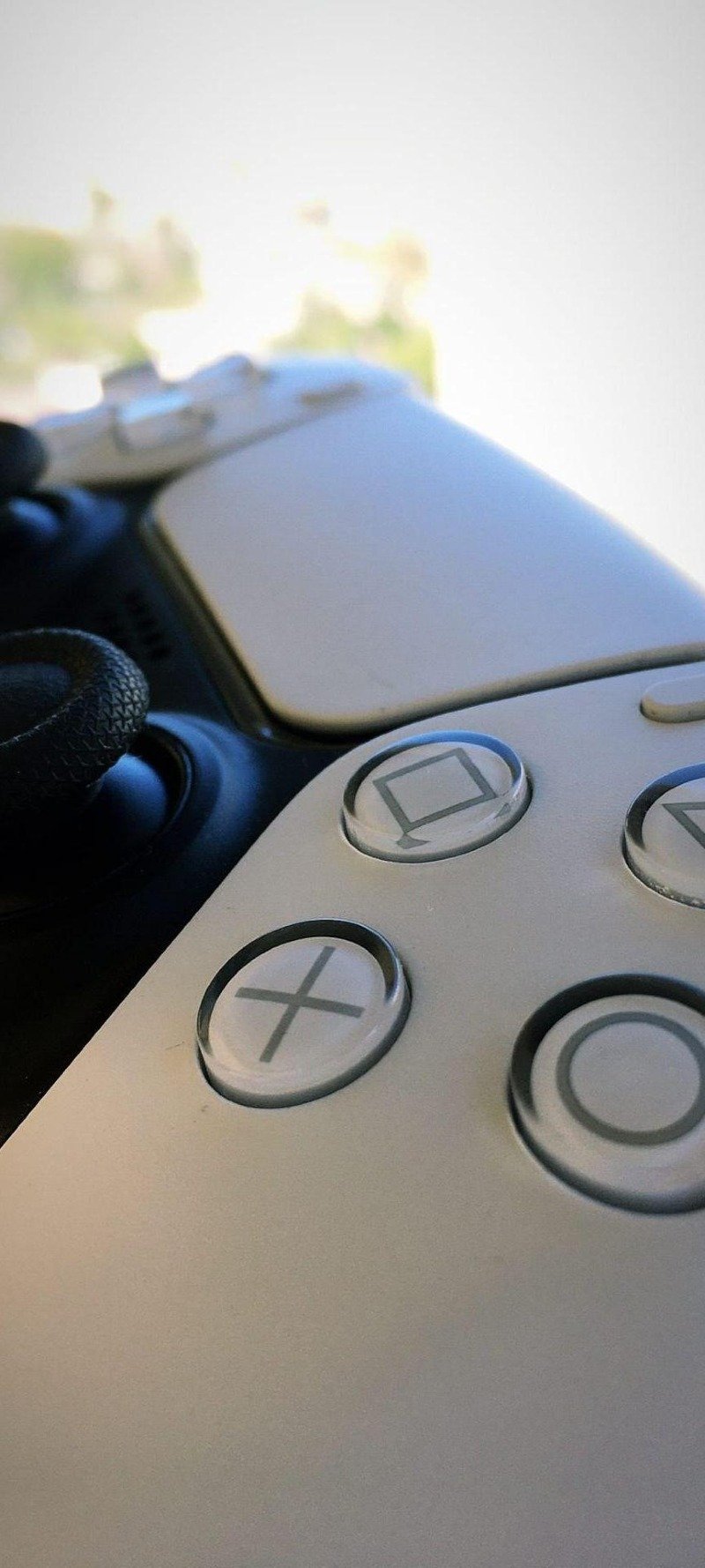 مروان المالكي