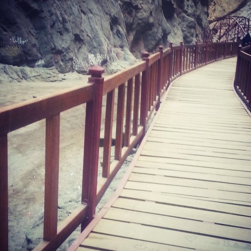 عائشه العنزي