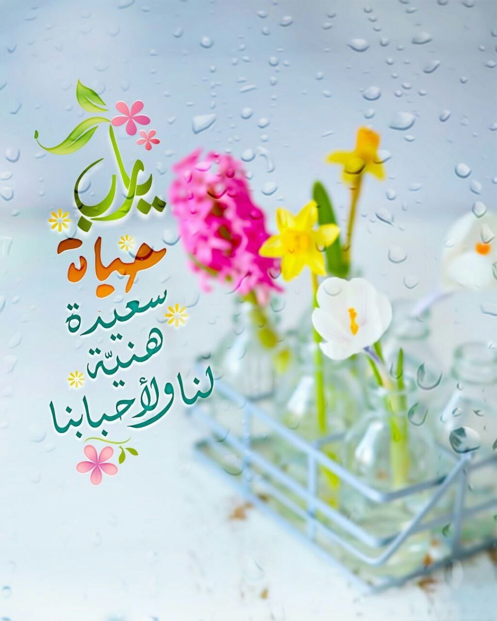 أم محمد الحارثي