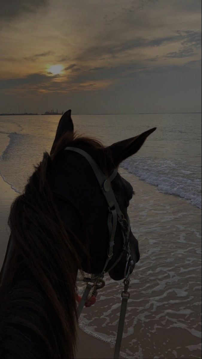 عبدالله التميمي