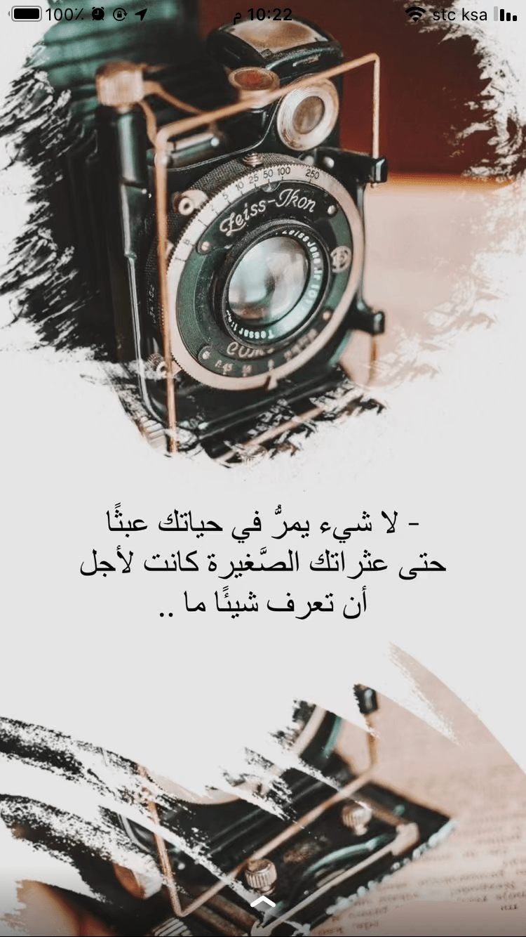 شهناز سردار