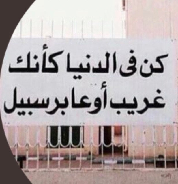 نوير الشمري