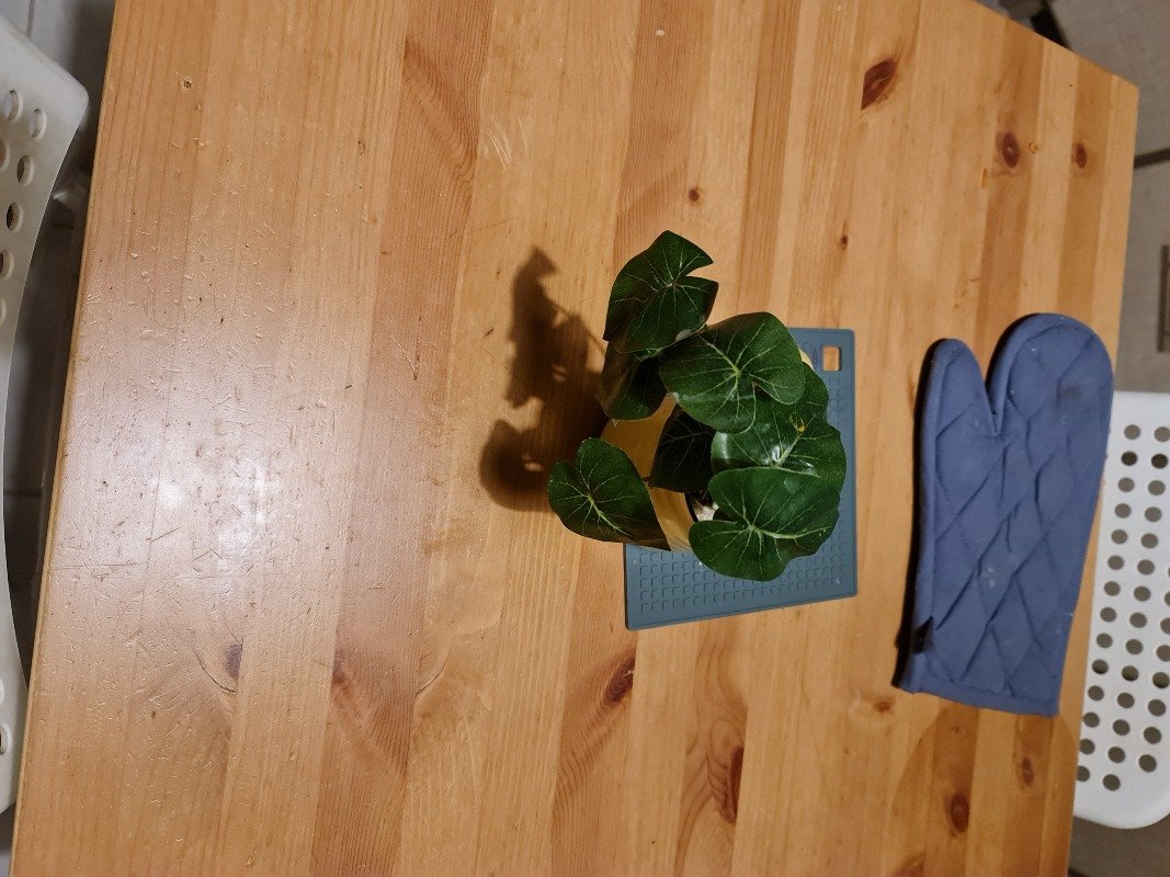 عايشه عبدالله