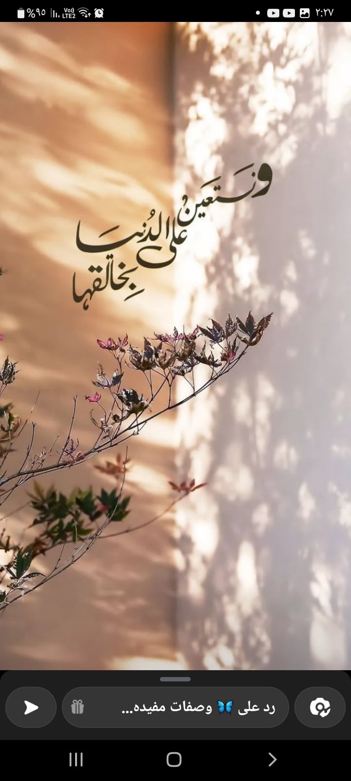 احمد البكري