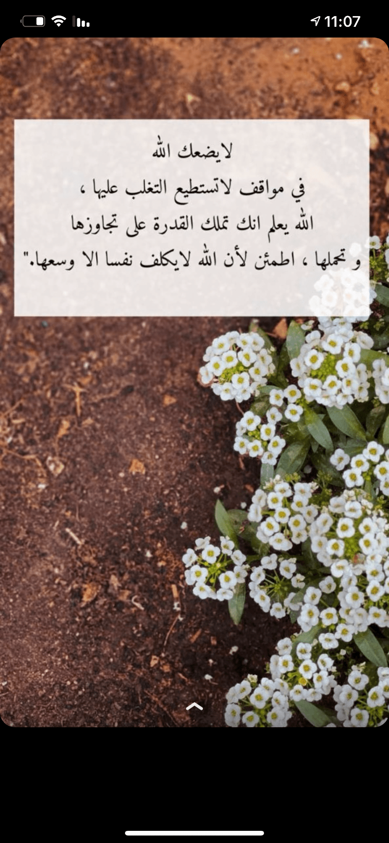 حنان المطيري