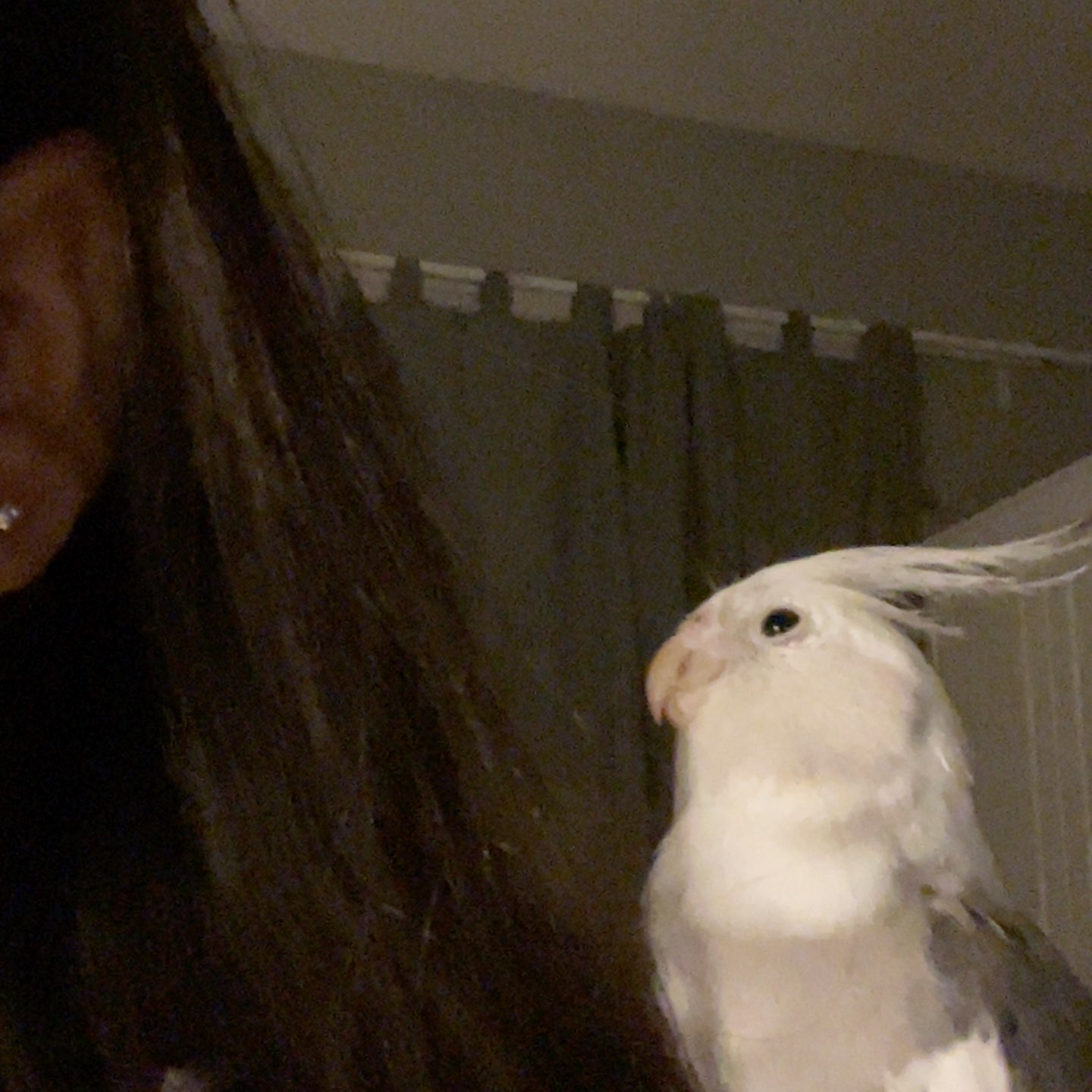 تهاني الغامدي