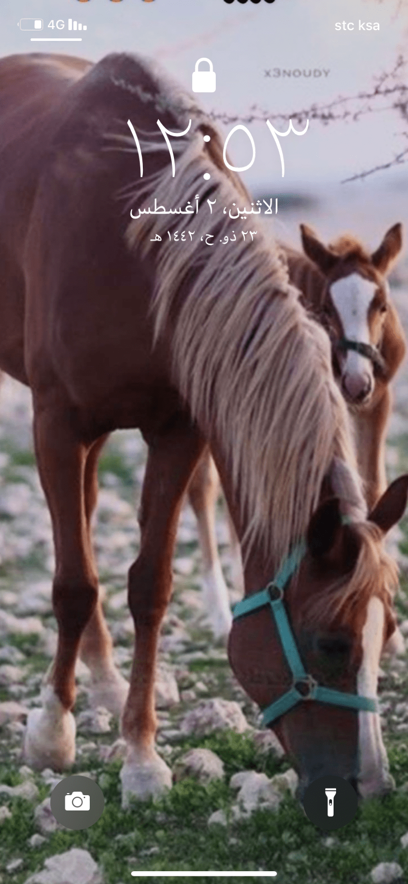 علي ال حيدر