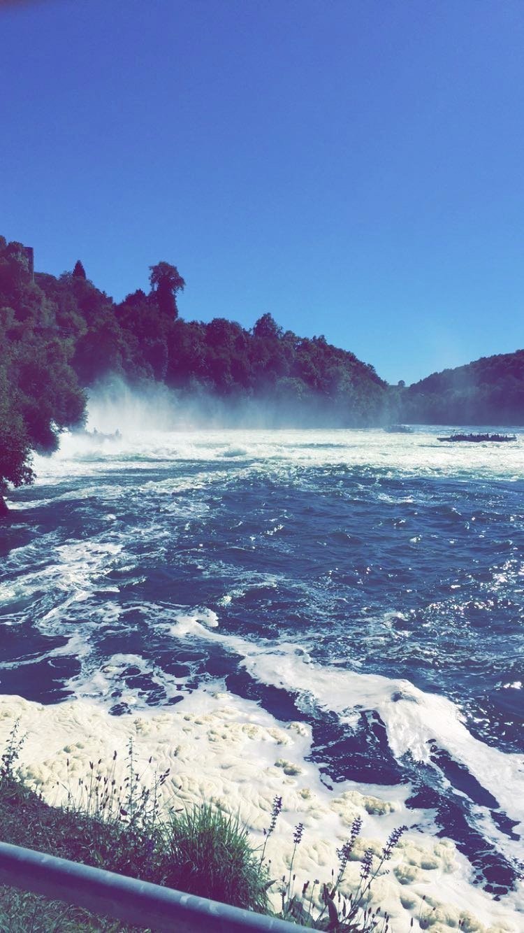 ماجد بن سعيد