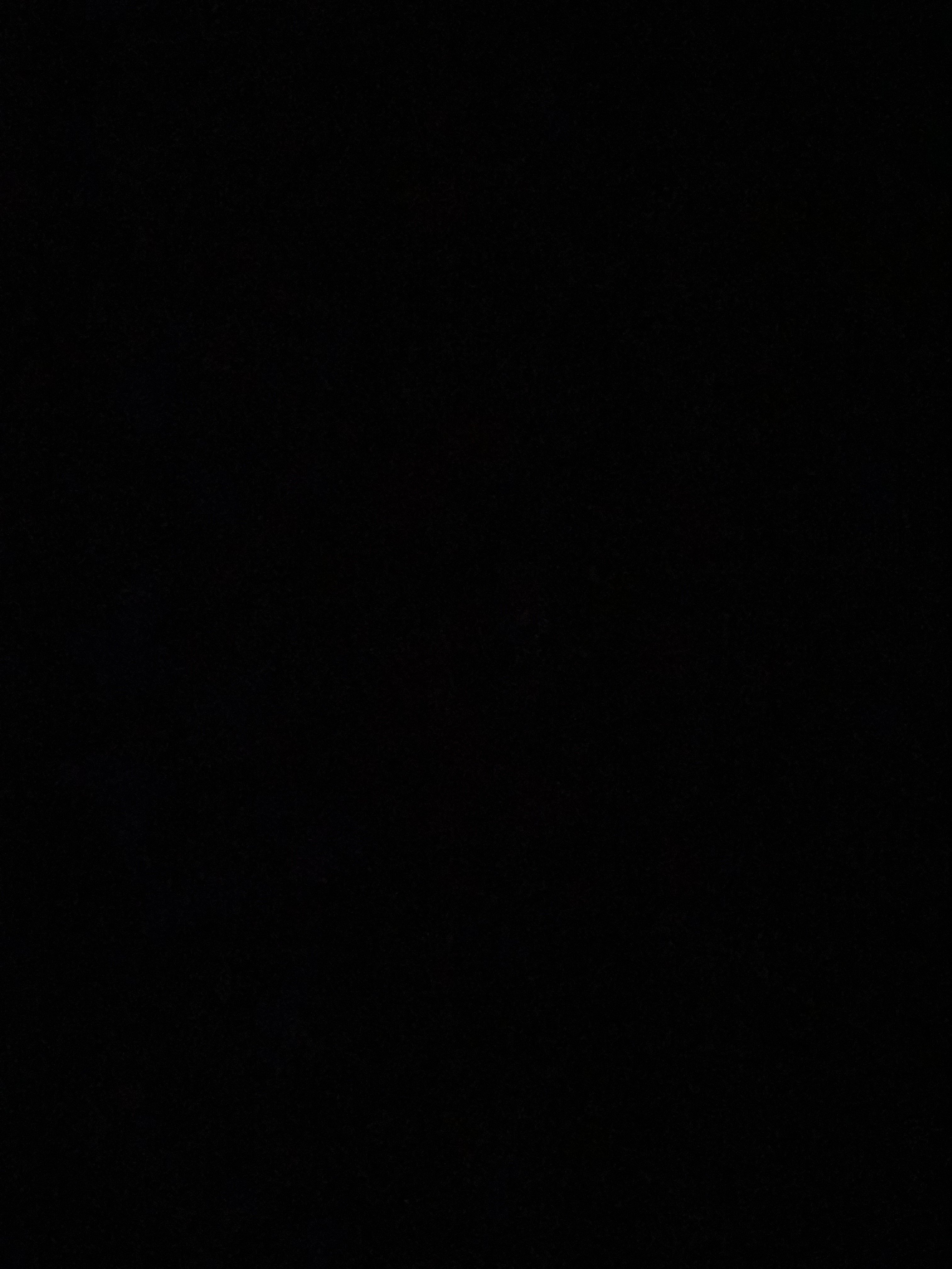 دانه الرشيدي