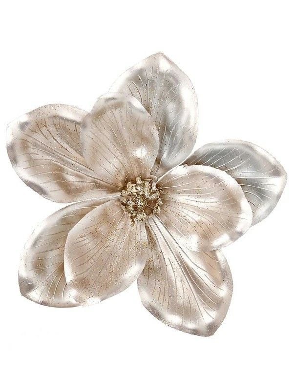 ريناد عبدالله 