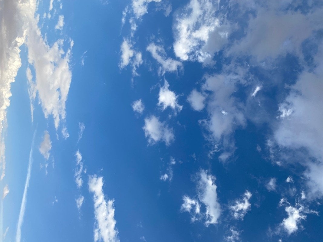 ابعاد المطيري