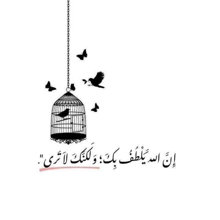 سميره الصهدي