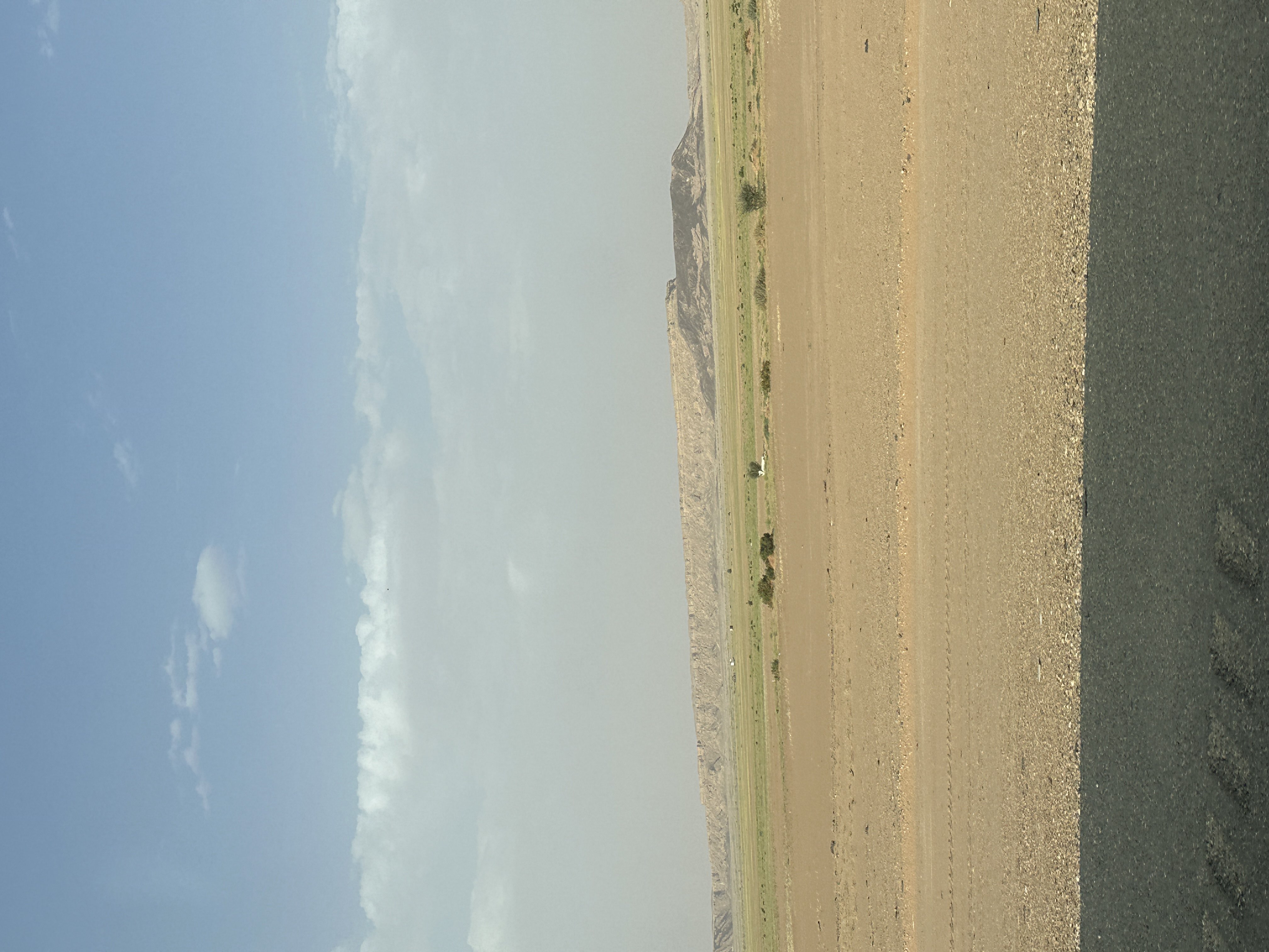 محمد ال مطارد