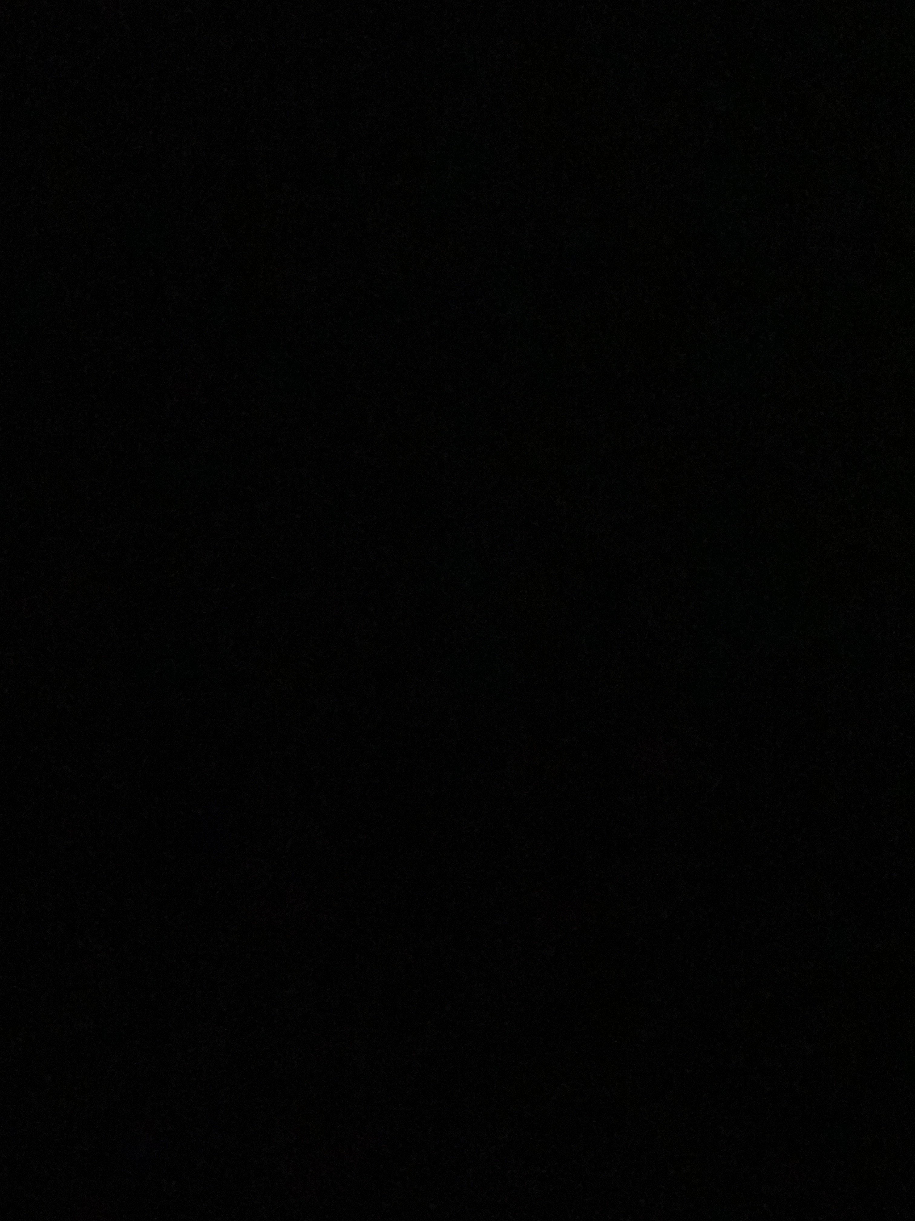 ربيع المولد
