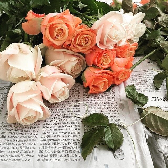 فيصل المالكي