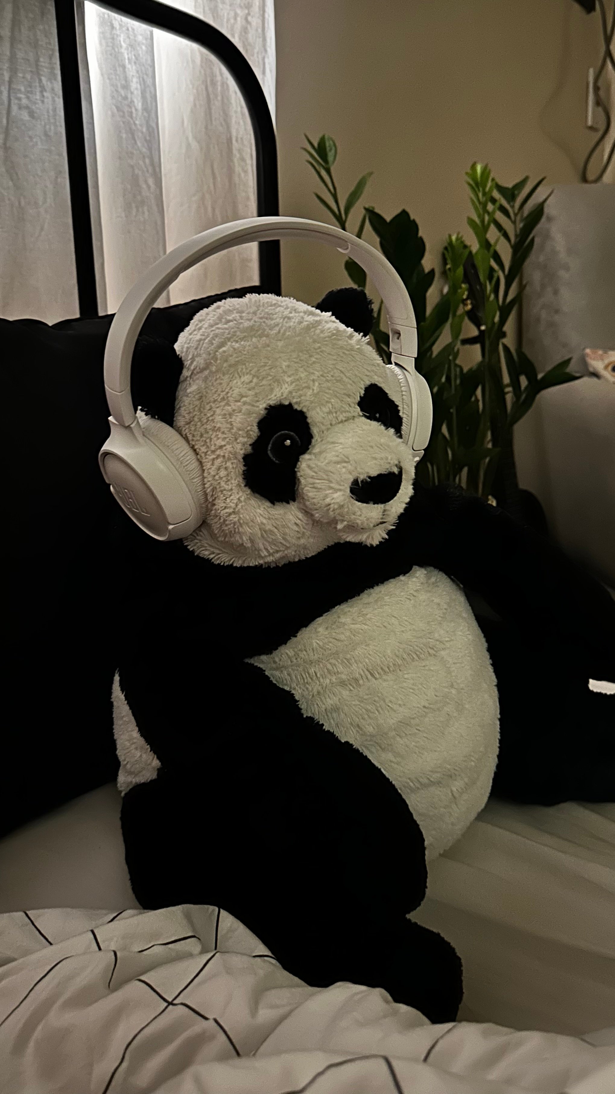 احمد الكناني