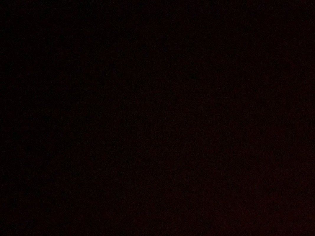 M S