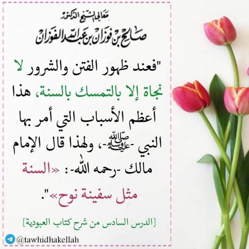 Maher Mohmmad