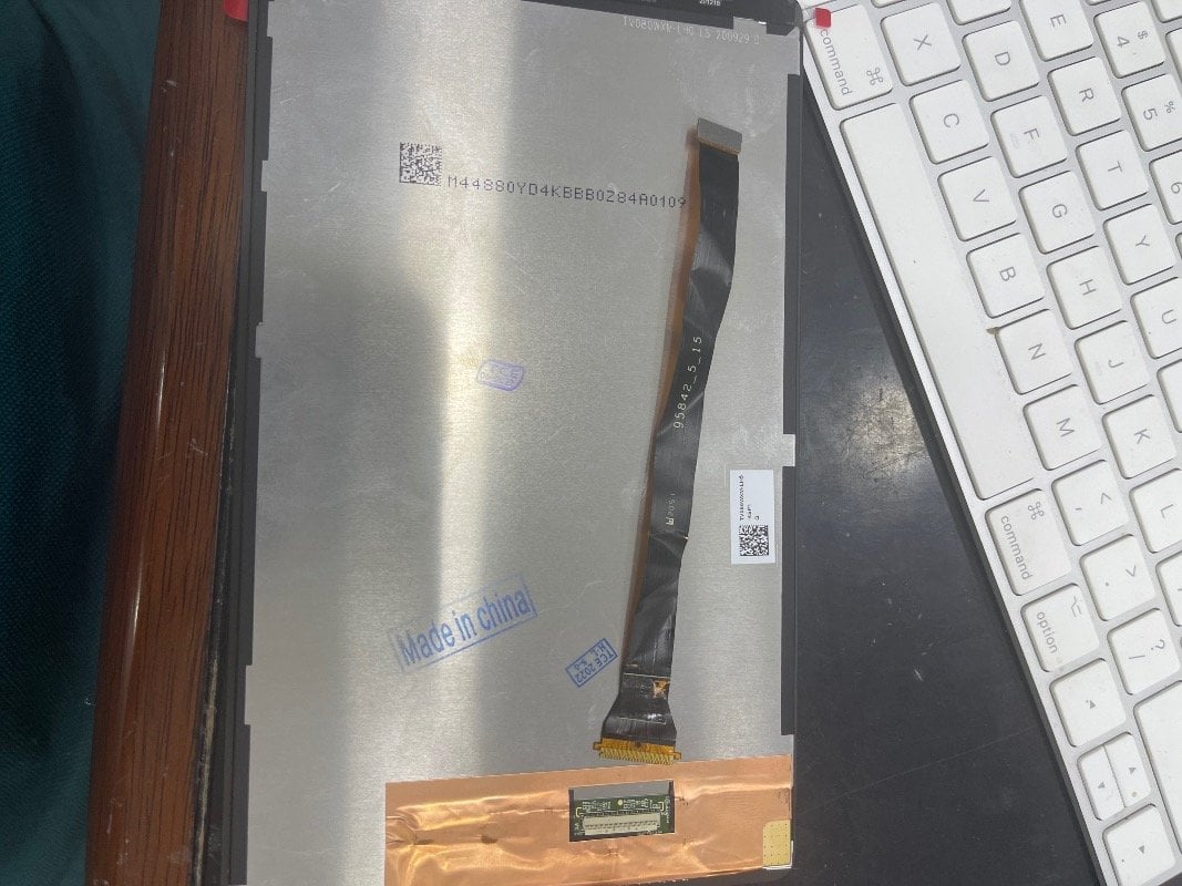 محمود شعبان