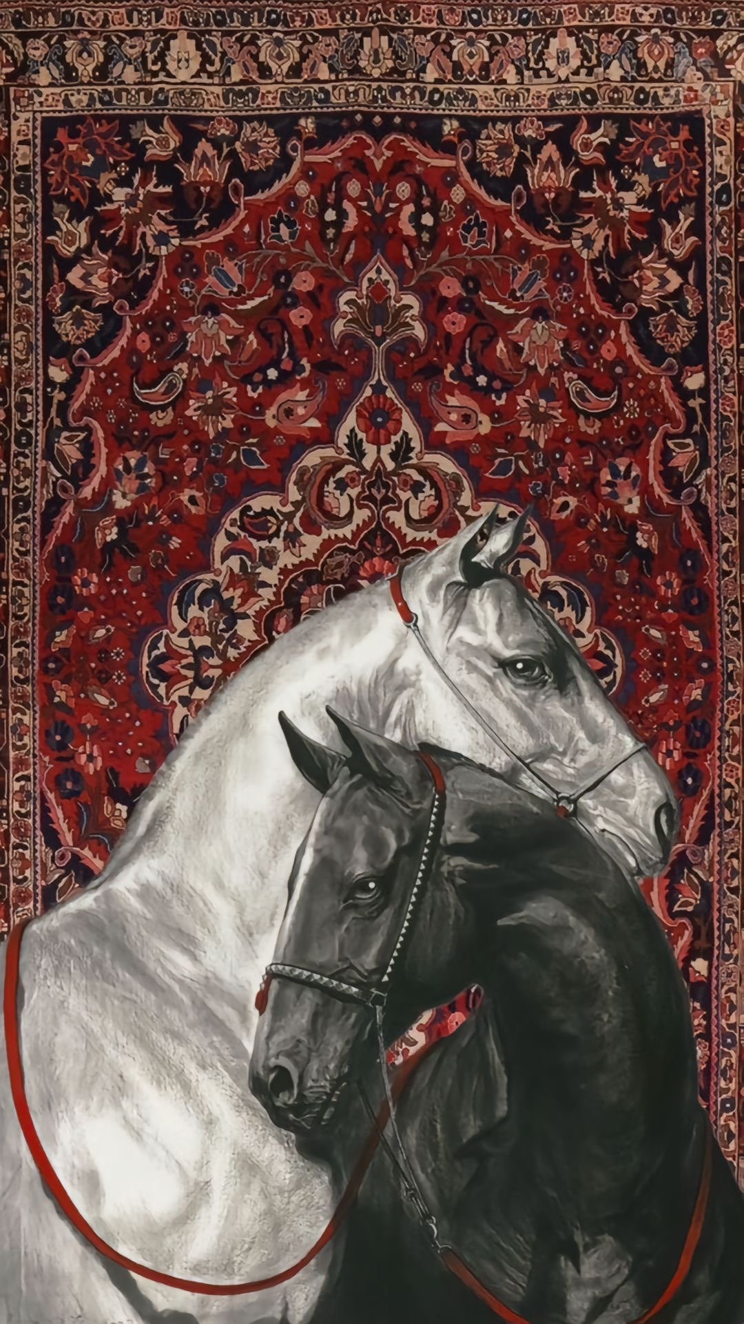 TURKi ALOTIBI