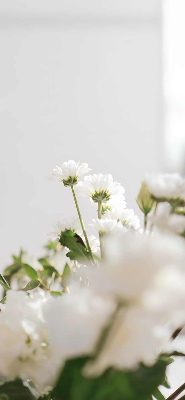 جواهر محمد الجيزاني