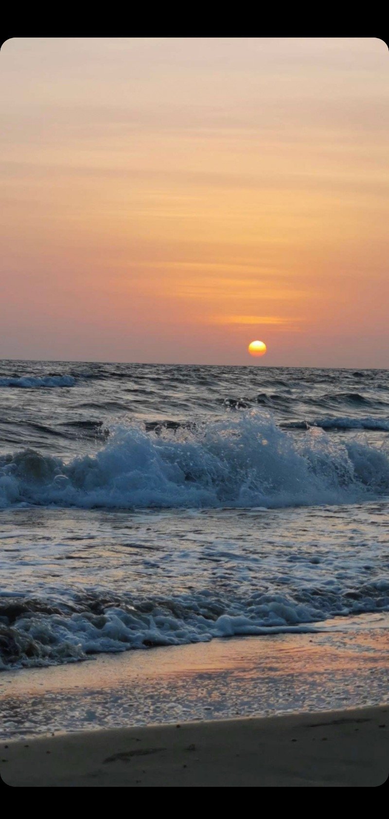 محمد المطيري