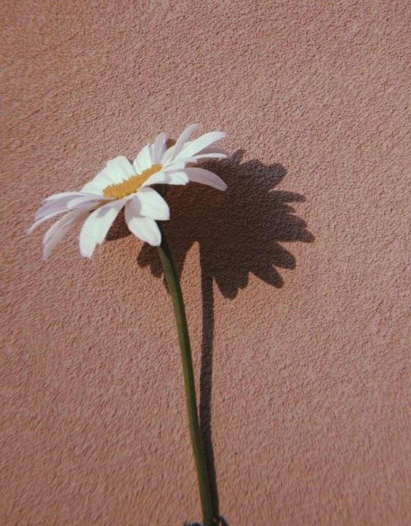 Nada Alhumaidhi
