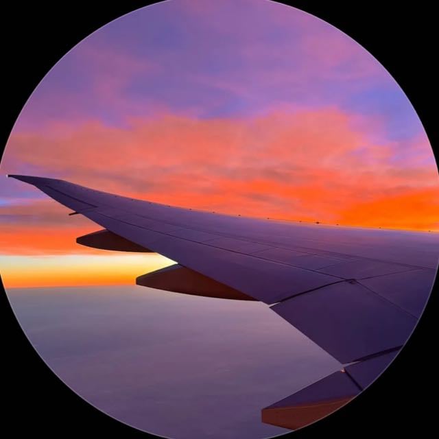 وجدان اليامي