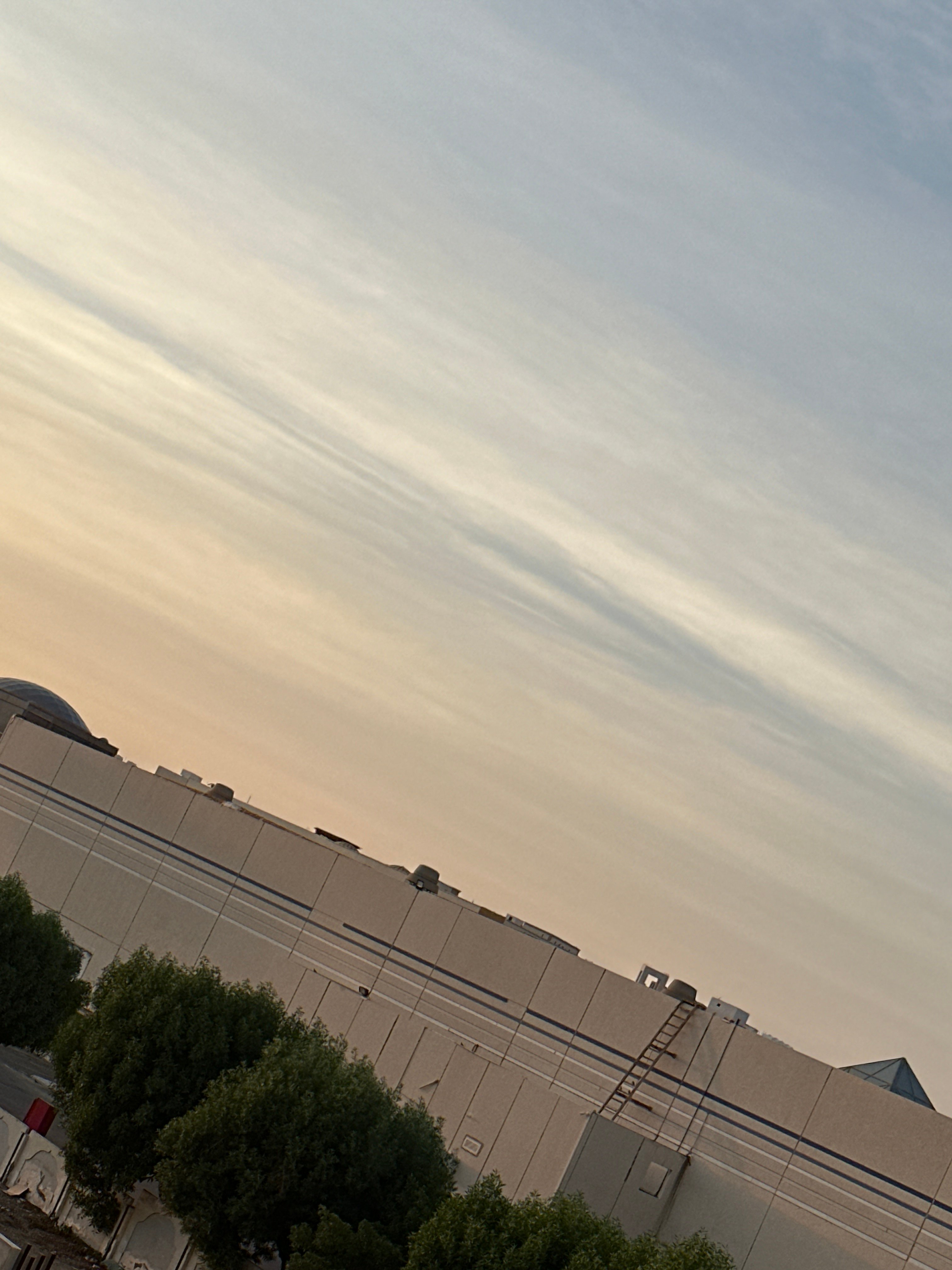 كامله البارقي