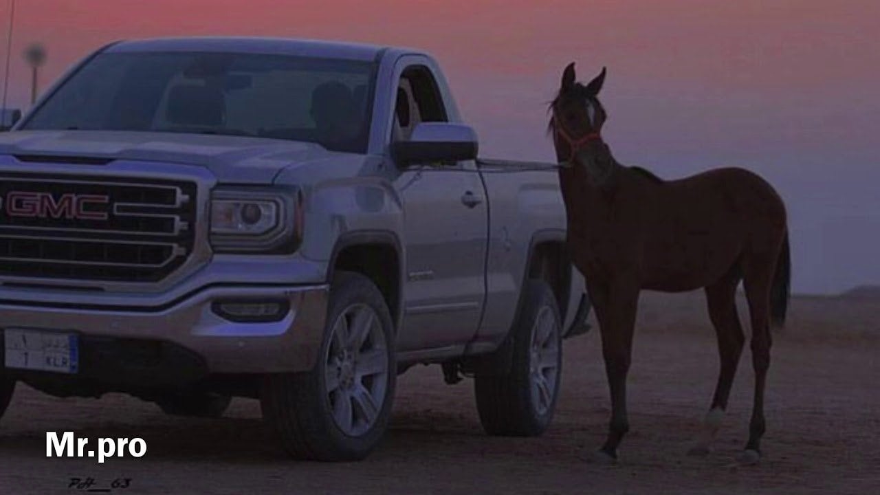 عبدالرحمن العمري‬‎