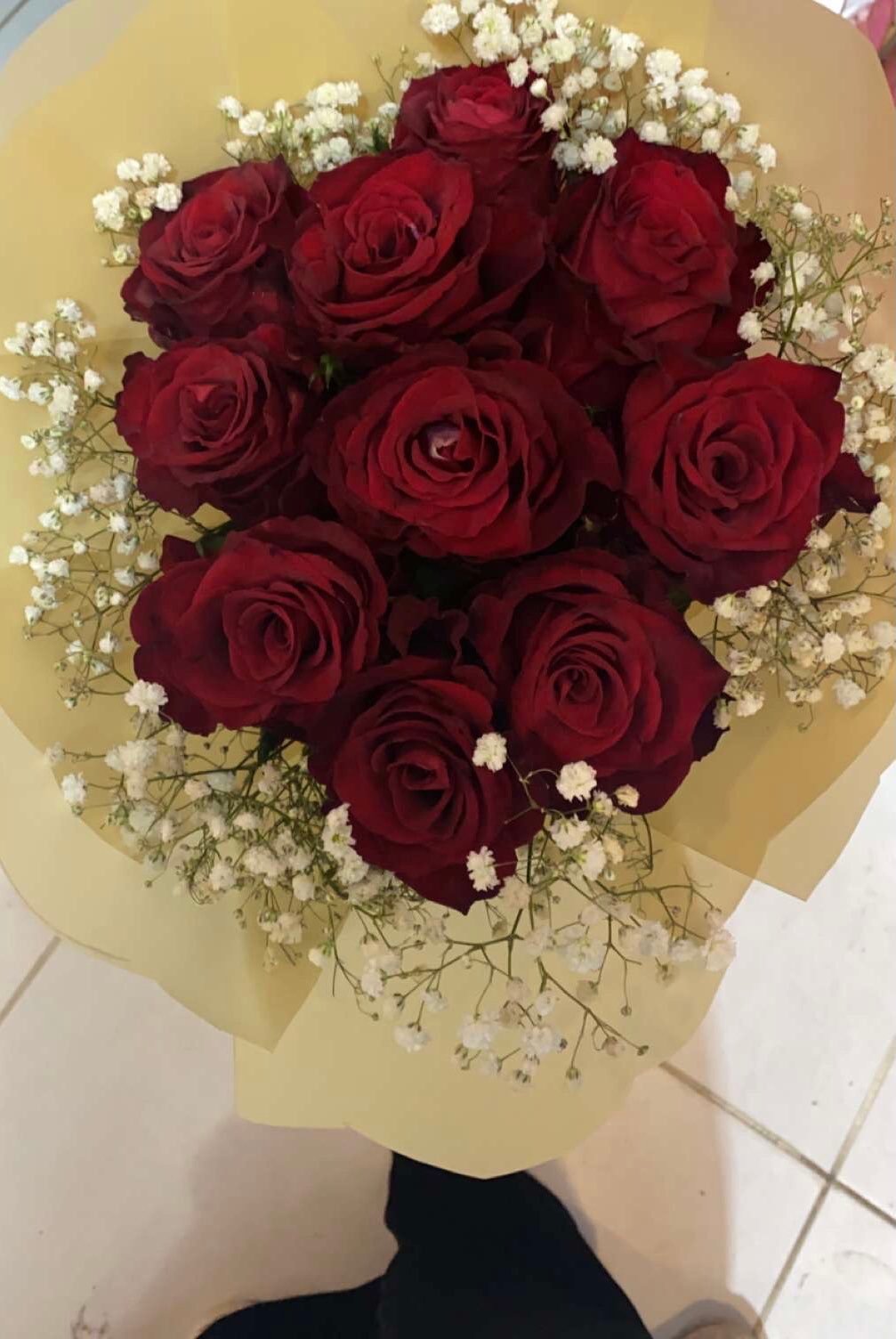 نواره الكويكبي