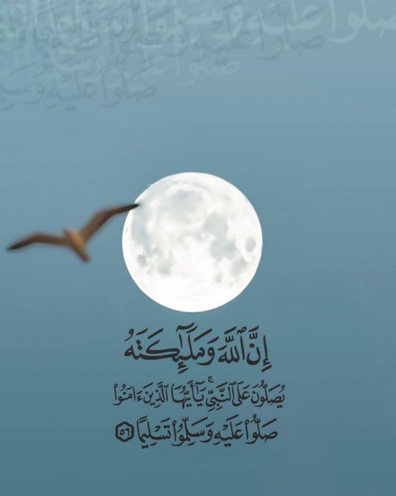 محمد ا الشلوي