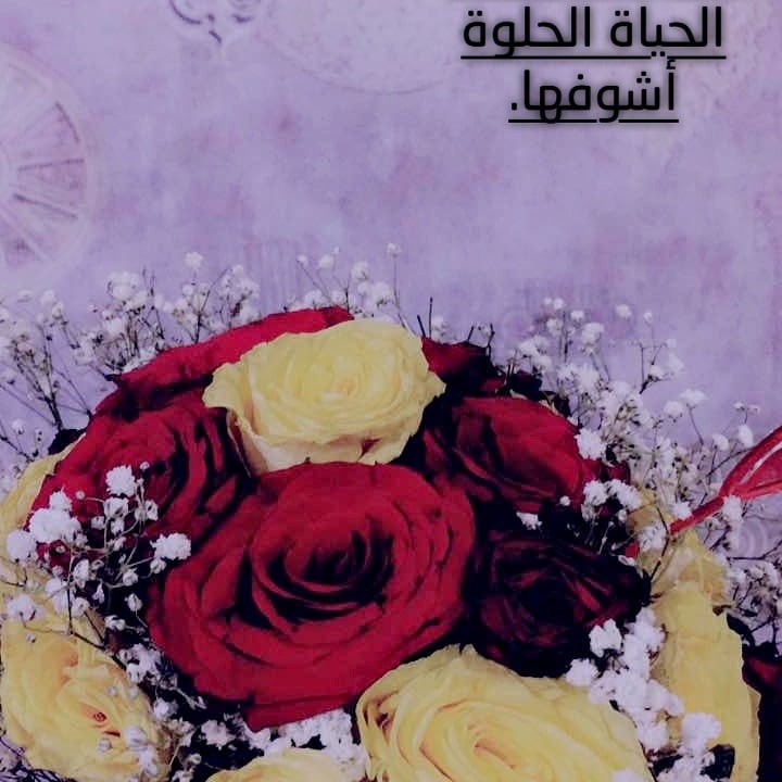 رقيه سفياني