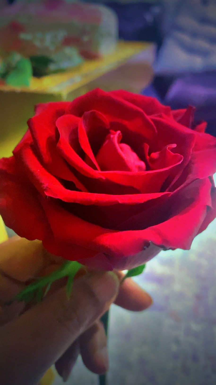 امل الحارثي