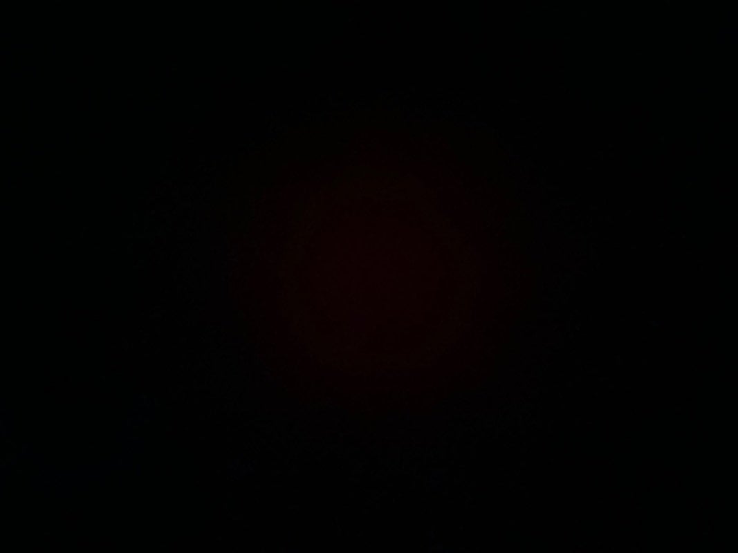 عبدالله الوادعي