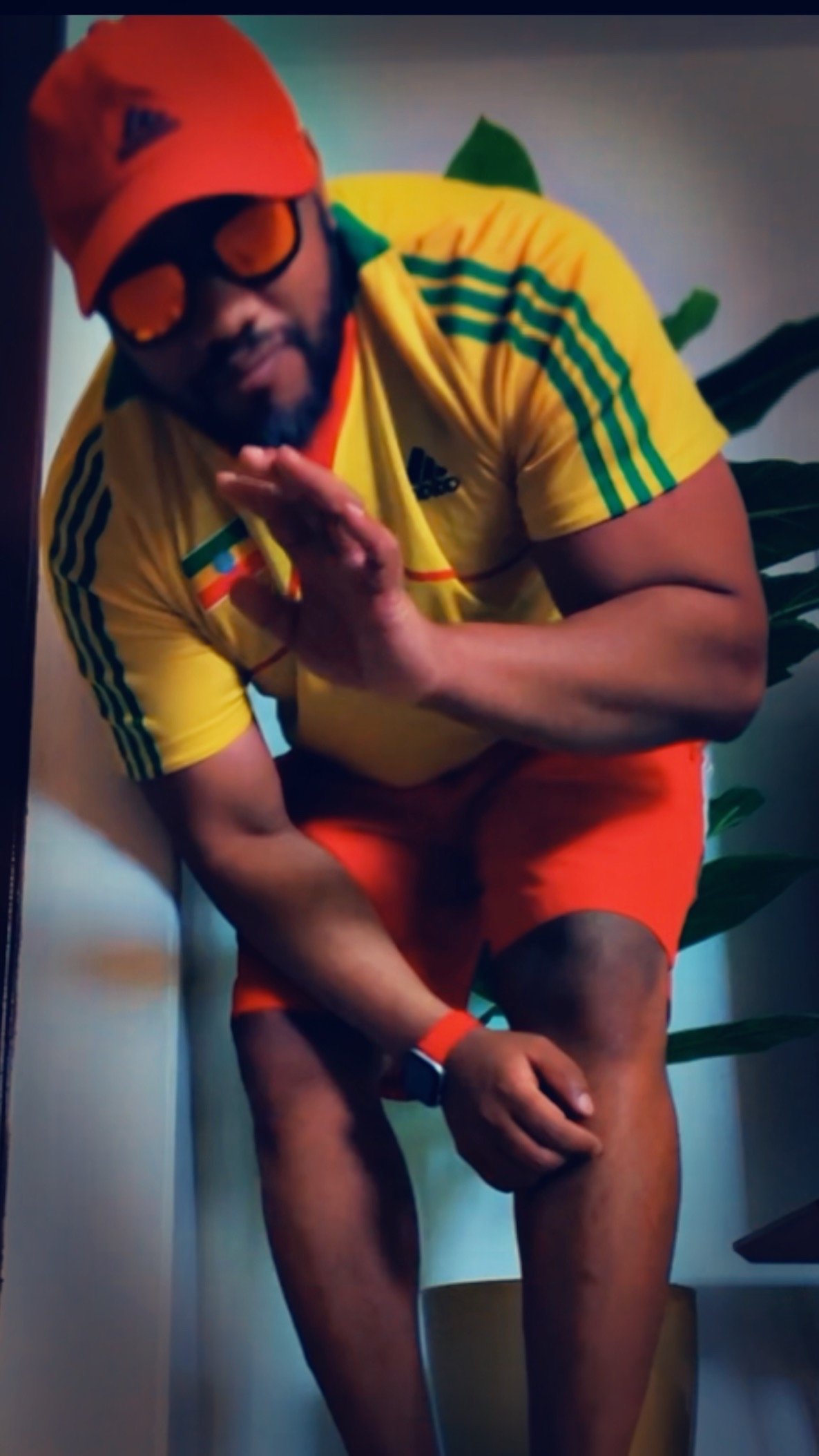 ALI SALAMI