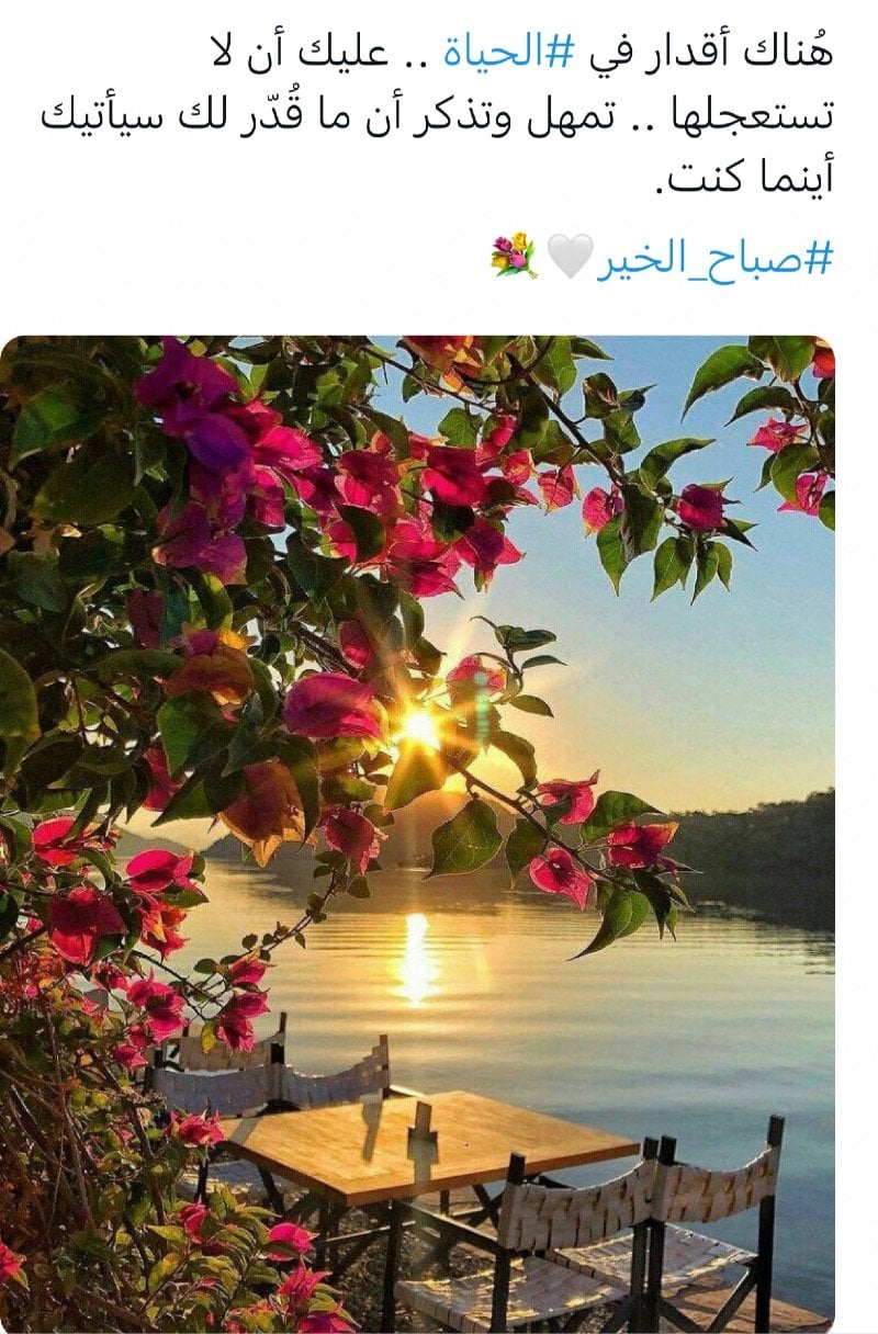 فاطمه القحطانى