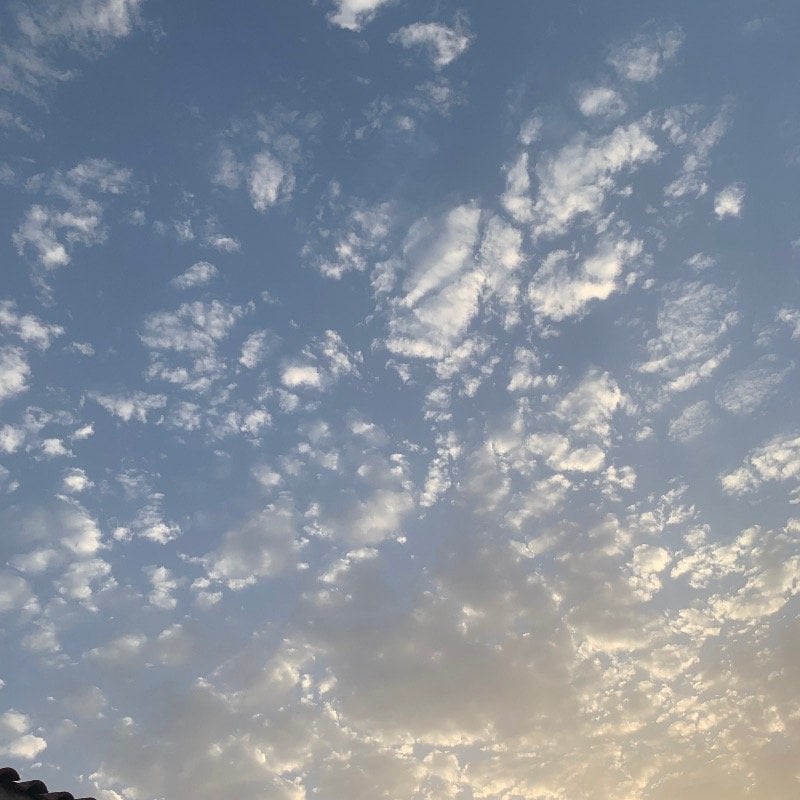 هاجر البورشيد