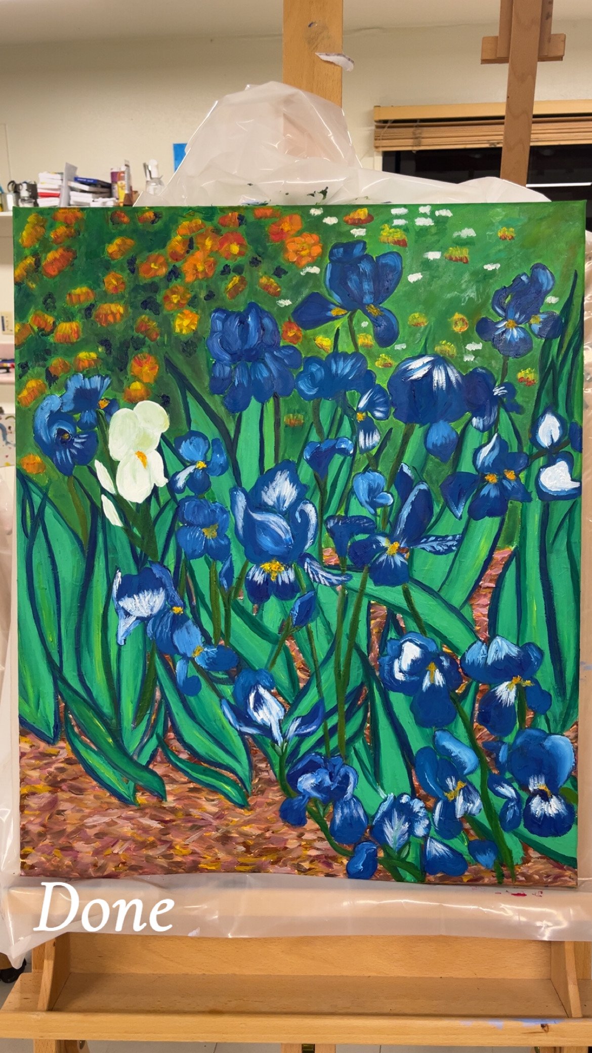 شاهيناز عبدالمنان