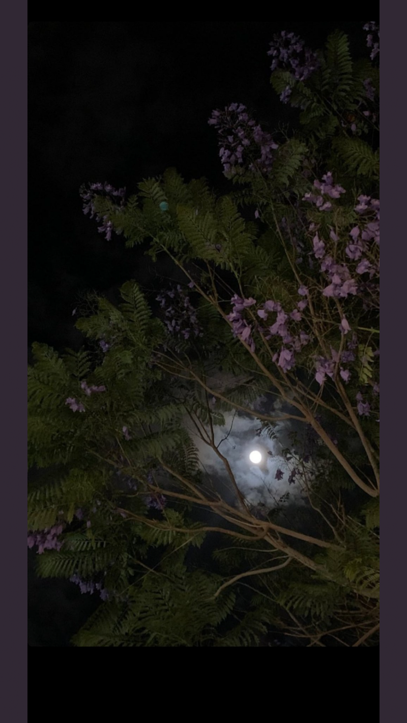 مايا الحداد