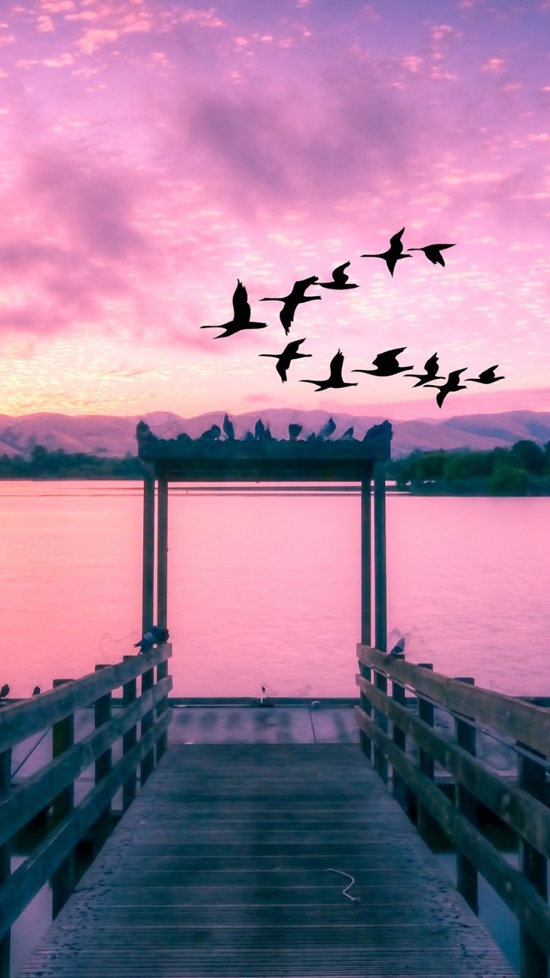 MOHAMMAD ZUHAIR SHALAB ALSHAM