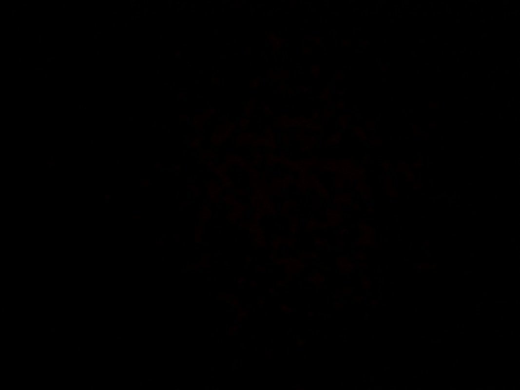 سعيد بن عتمه