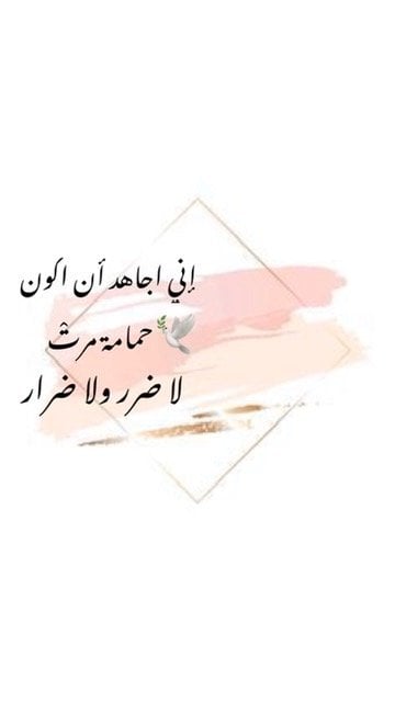 nour ali