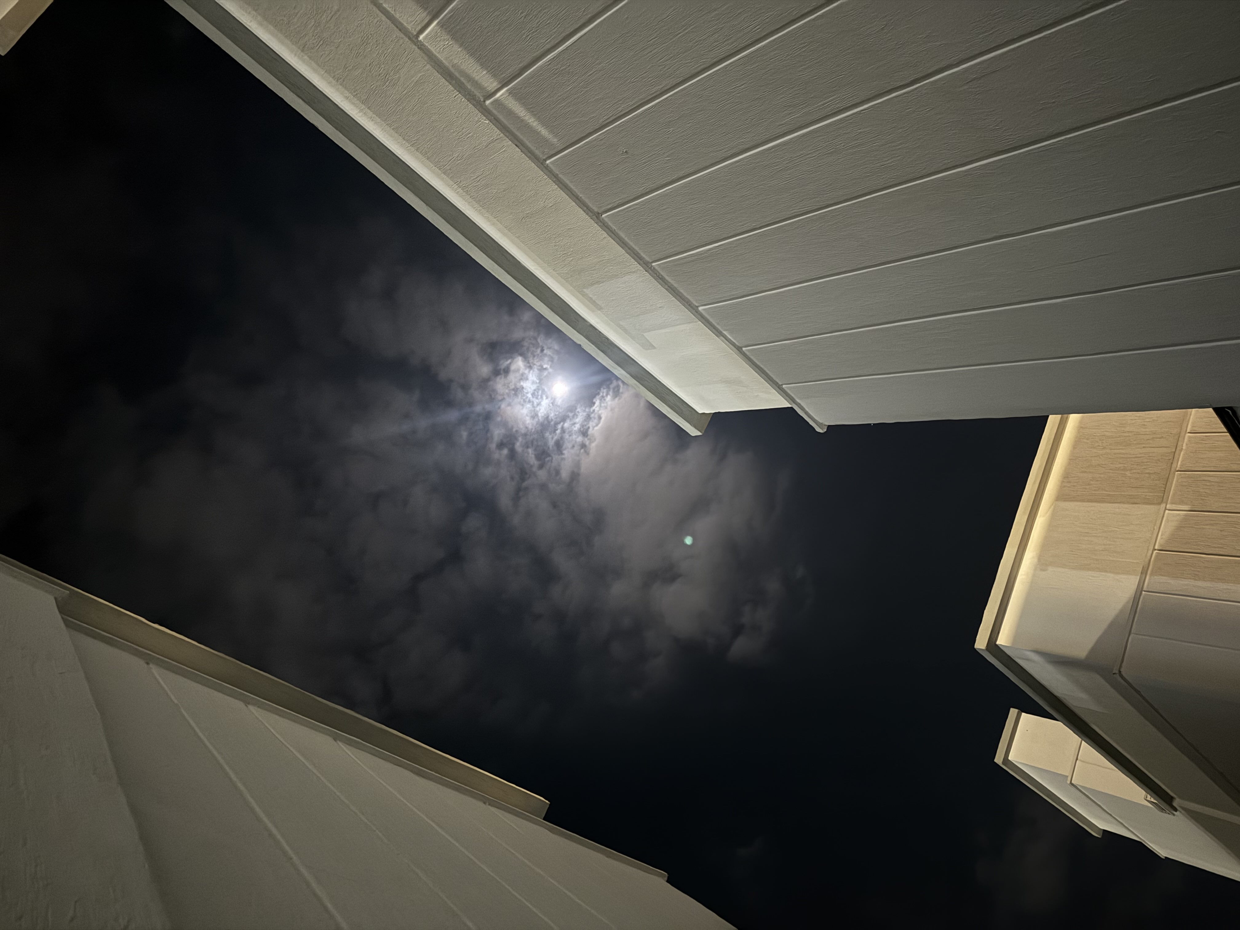 ابرار العتيبي