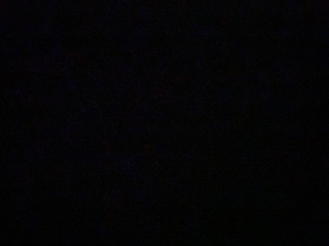 ساره المبارك