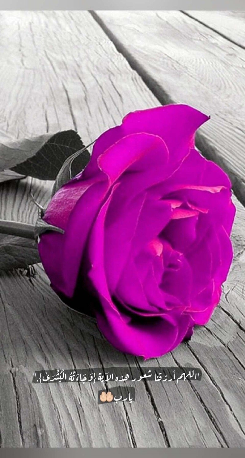 فاطمة فؤاد
