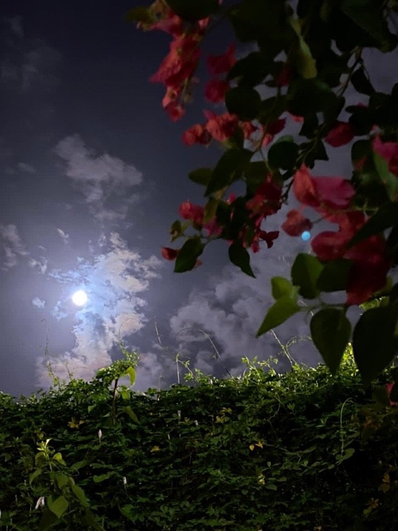 عبدالله العتيبي