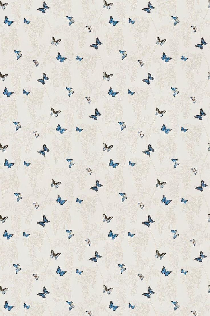 ساميه الشهري